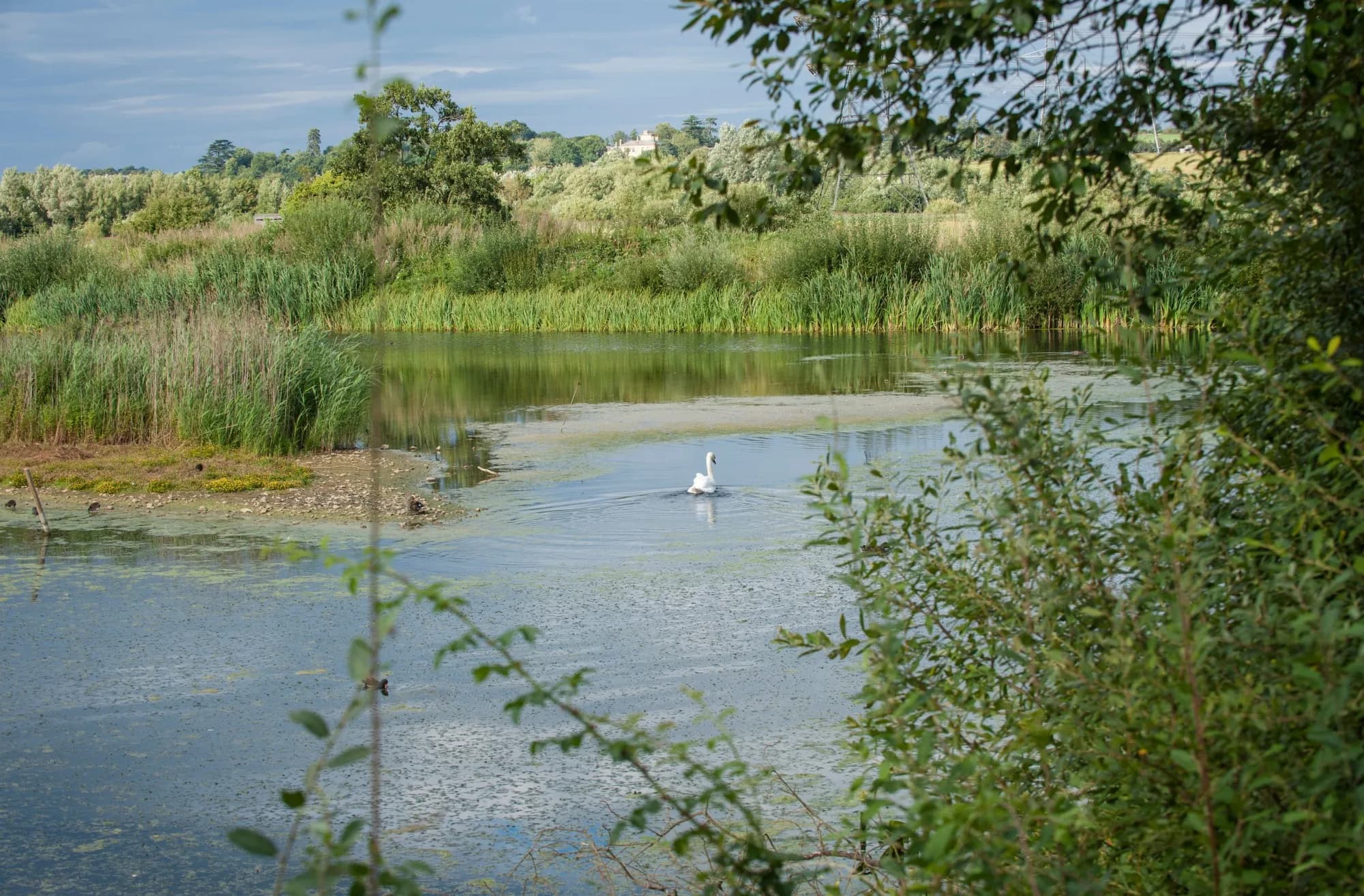 RSPB Rye Meads - Image 3