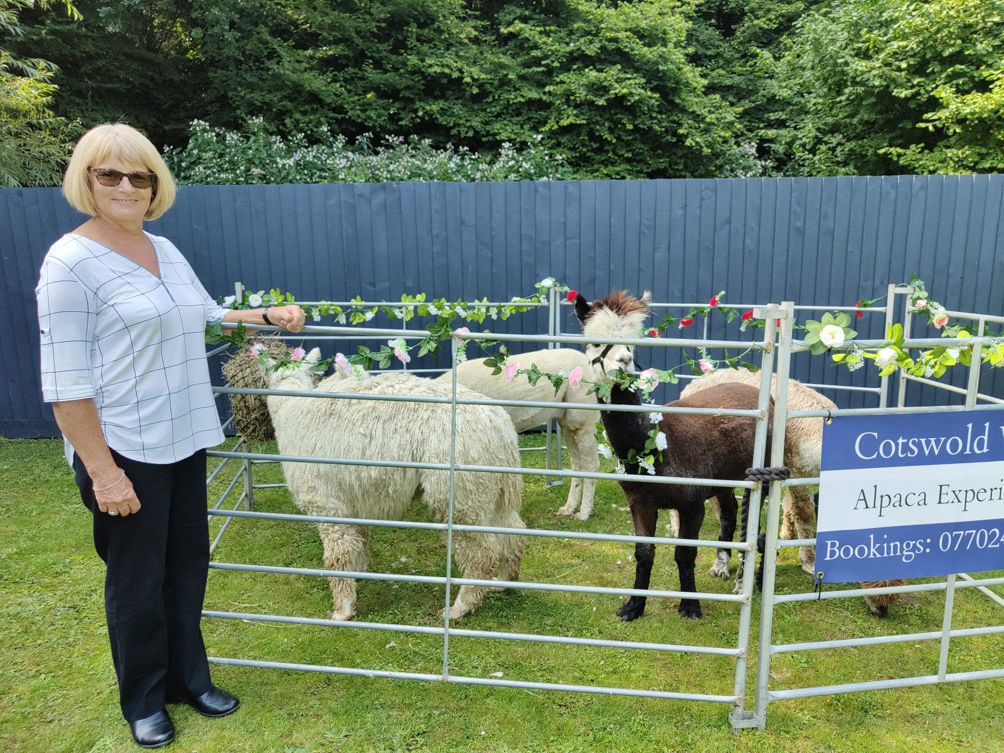 Cotswold Vale Alpaca Experience - Main view