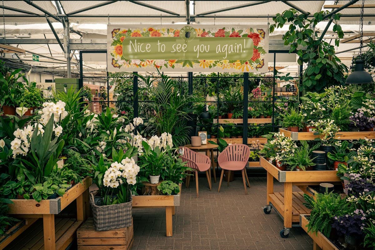 Yarnton Home & Garden - Image 4