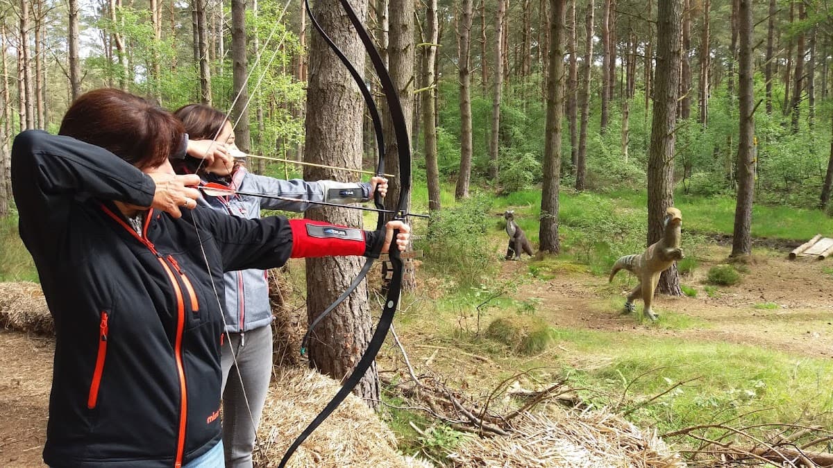 Bowhunter Archery Woodland Adventures - Image 2