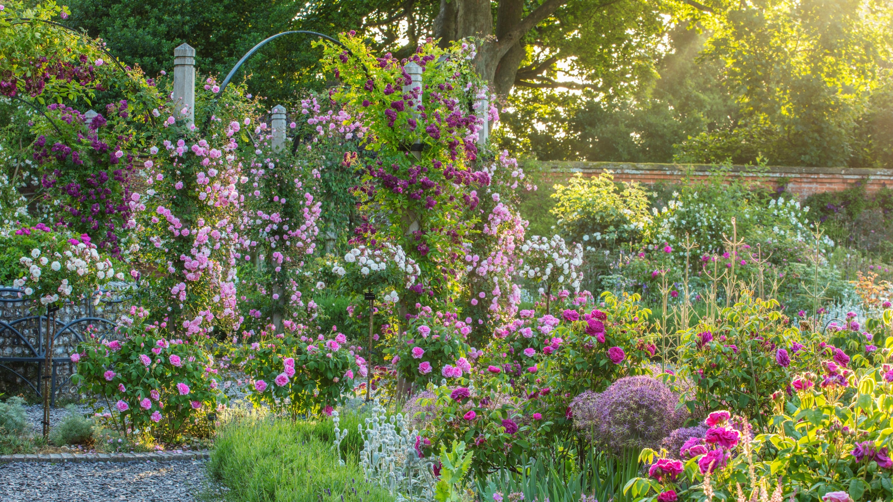 National Trust - Mottisfont - Image 2