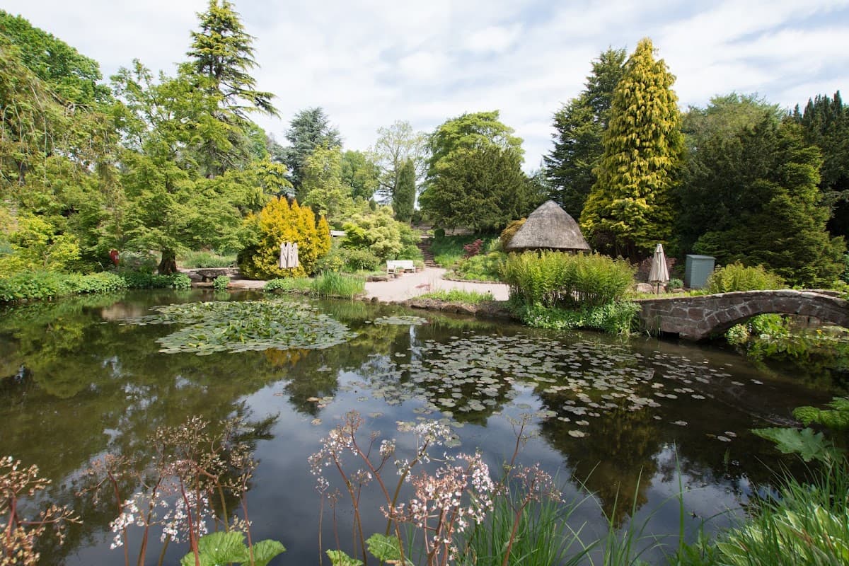 Ness Botanic Gardens - Image 4