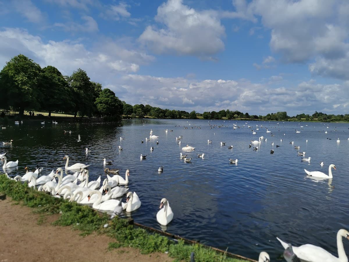 Seven Lochs Wetland Park - Image 2