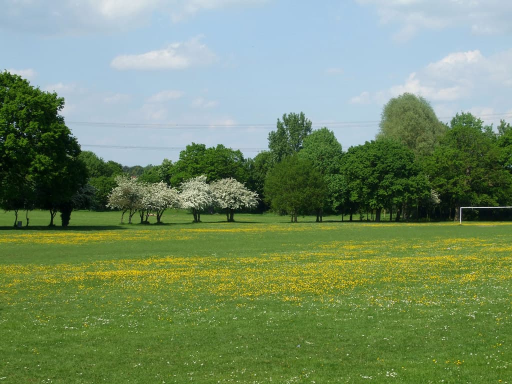 Wickford Memorial Park - Image 2