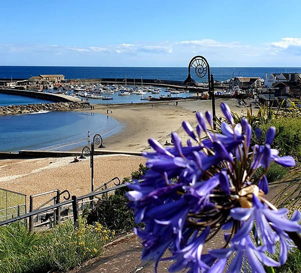 Lyme Regis Fossil Beach (Ammonite Pavement) - Main view
