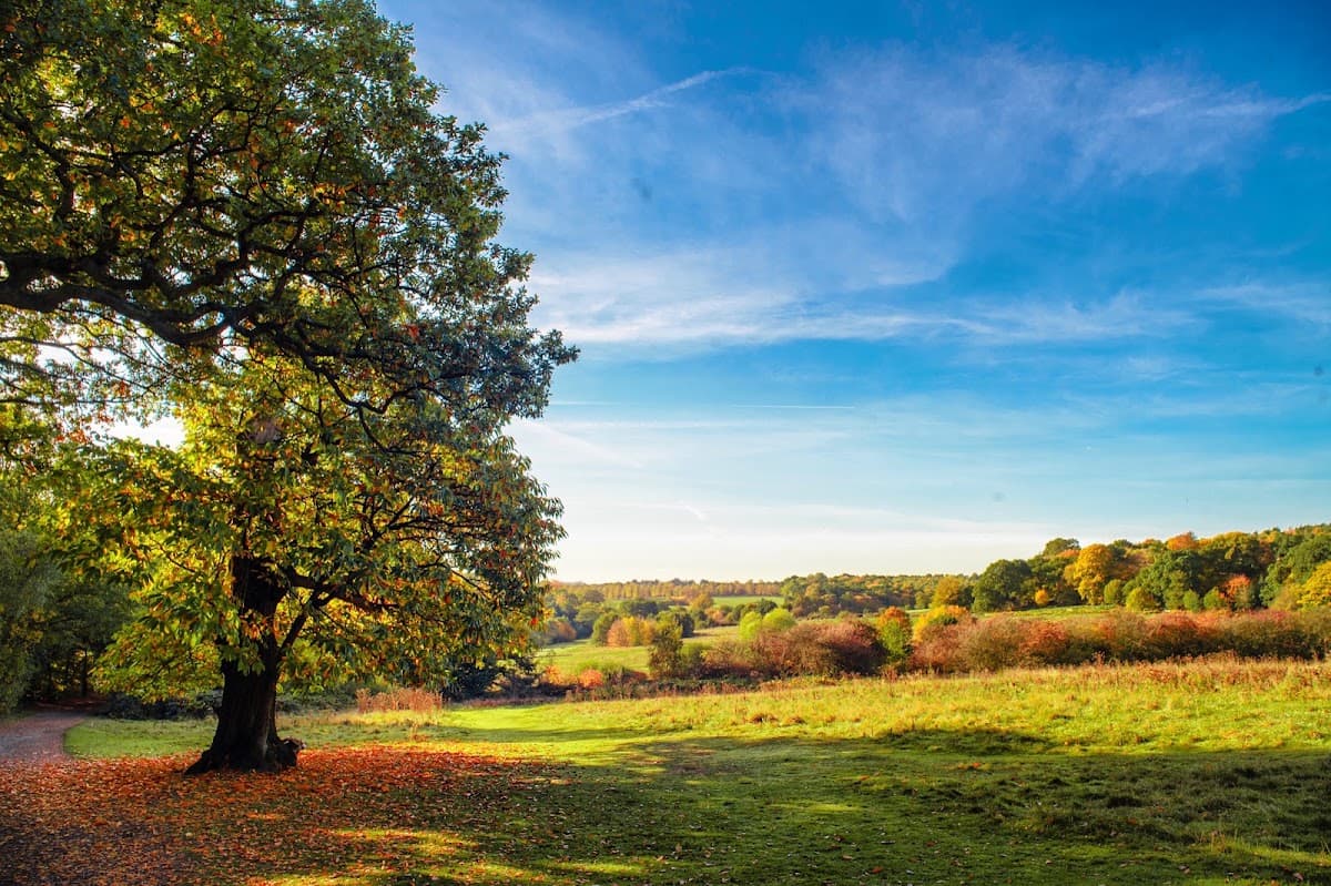Trent Park - Image 1