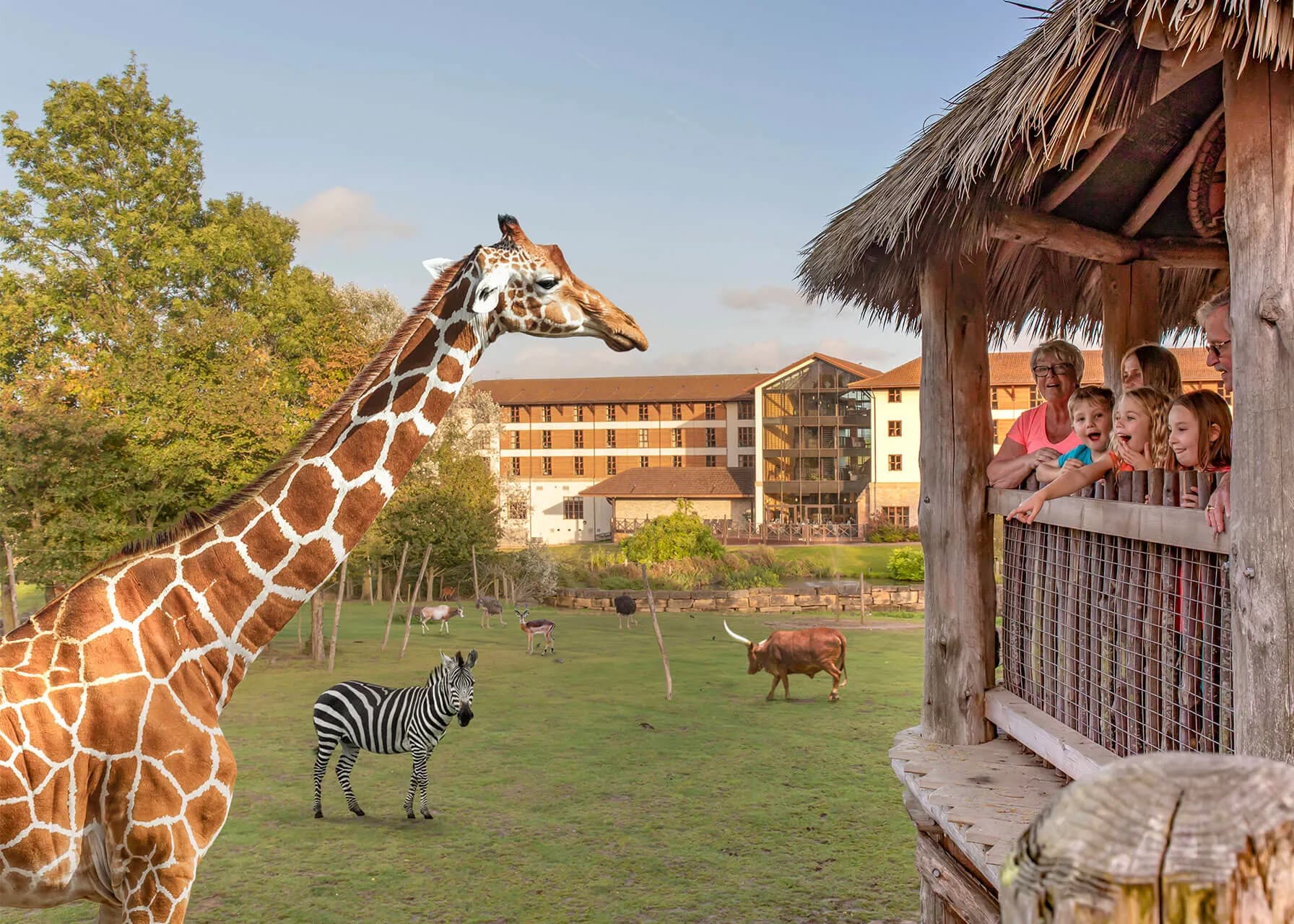 Chessington World of Adventures Resort - Image 3