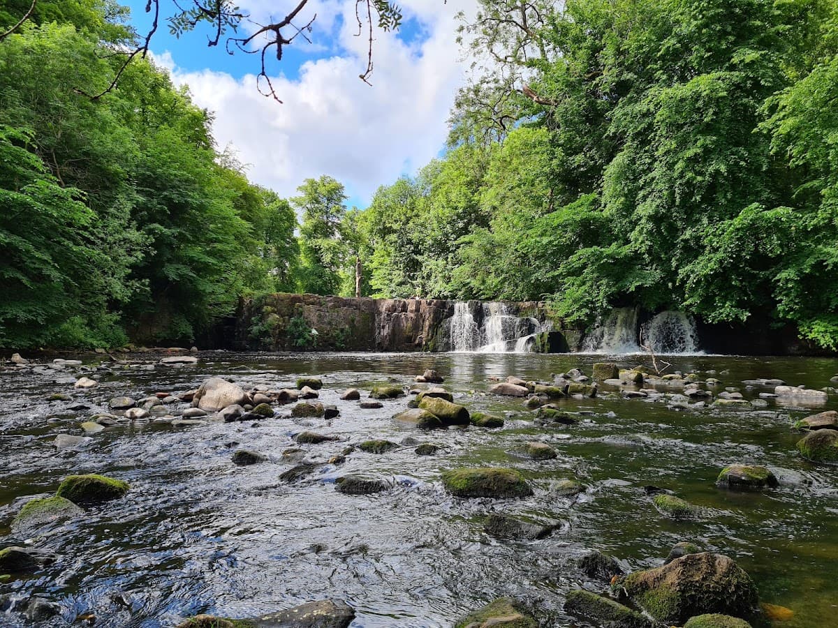 Linn Park - Image 2