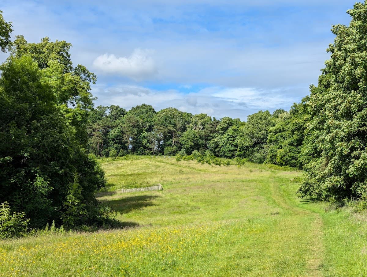 Linn Park - Image 5