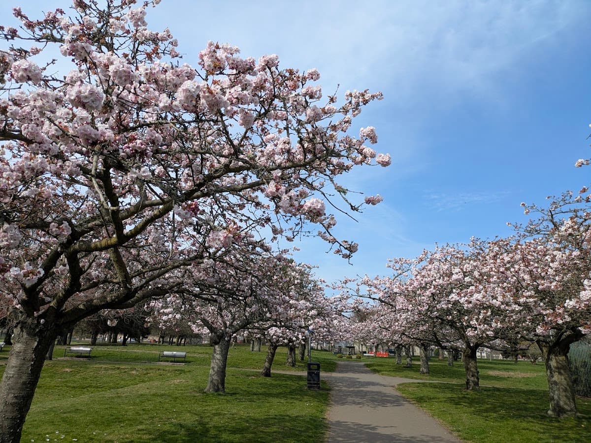 Dawson Park - Image 2