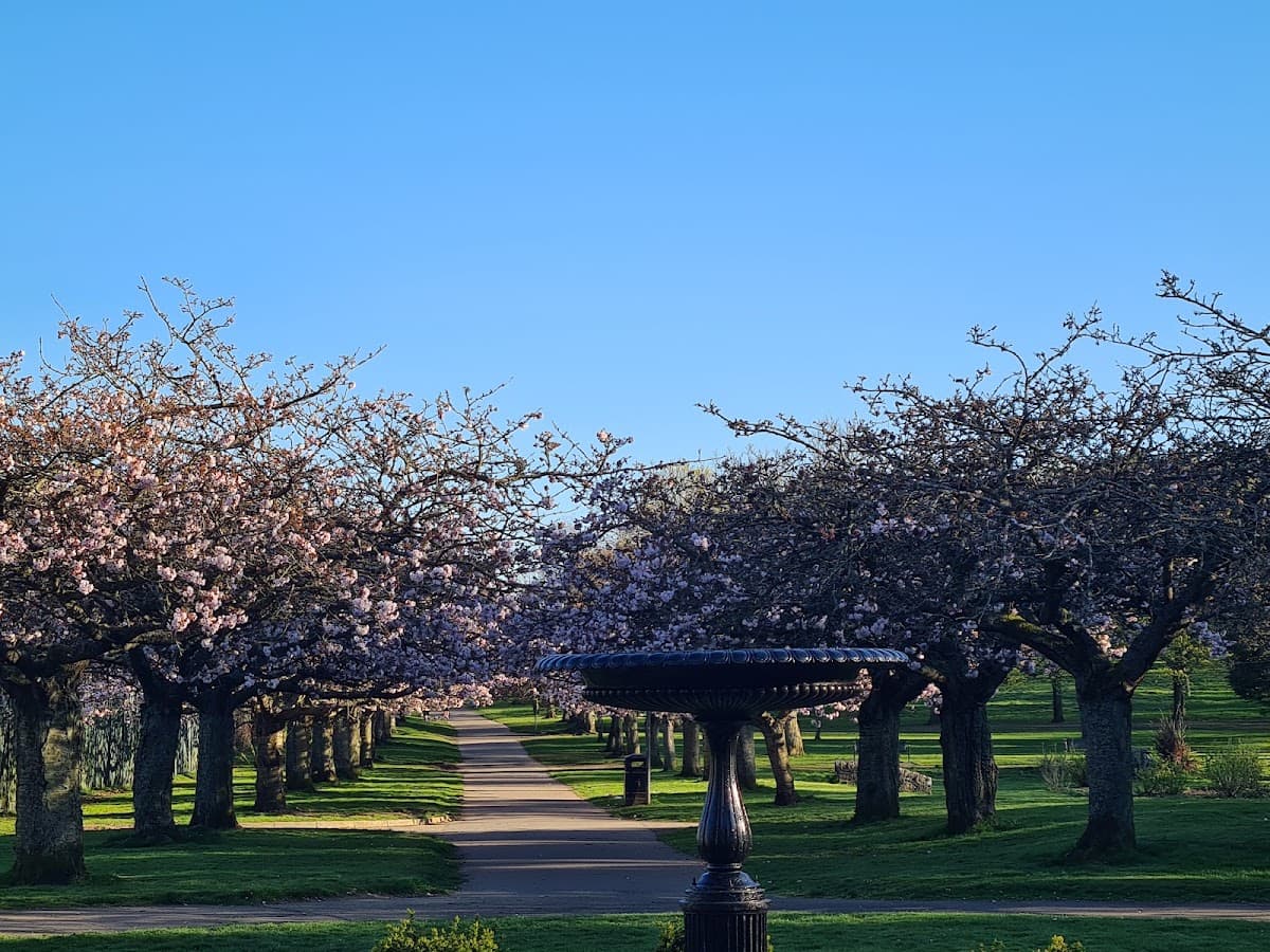 Dawson Park - Image 4