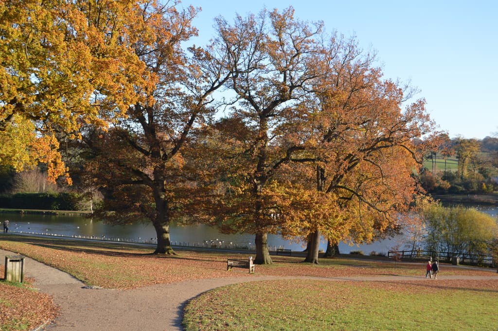 Dunorlan Park - Image 1