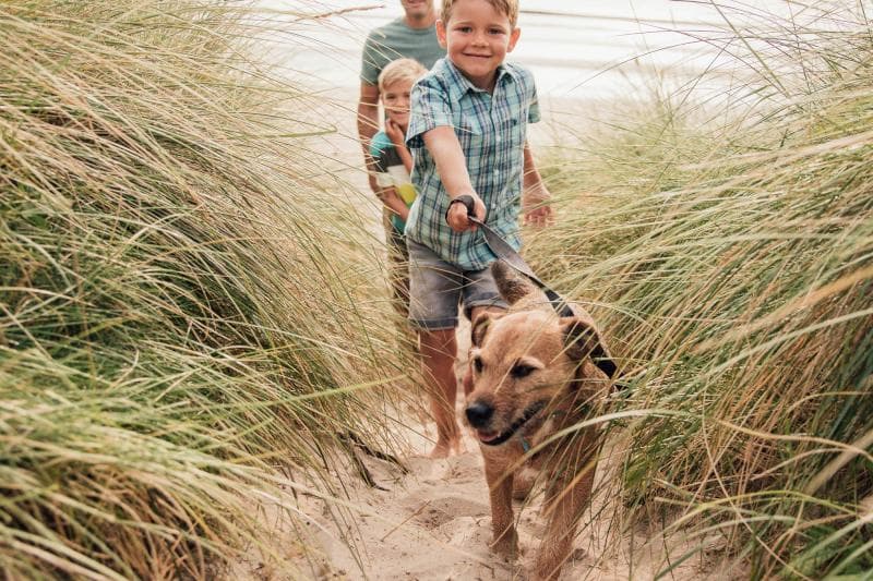 Woolacombe Beach - Image 2