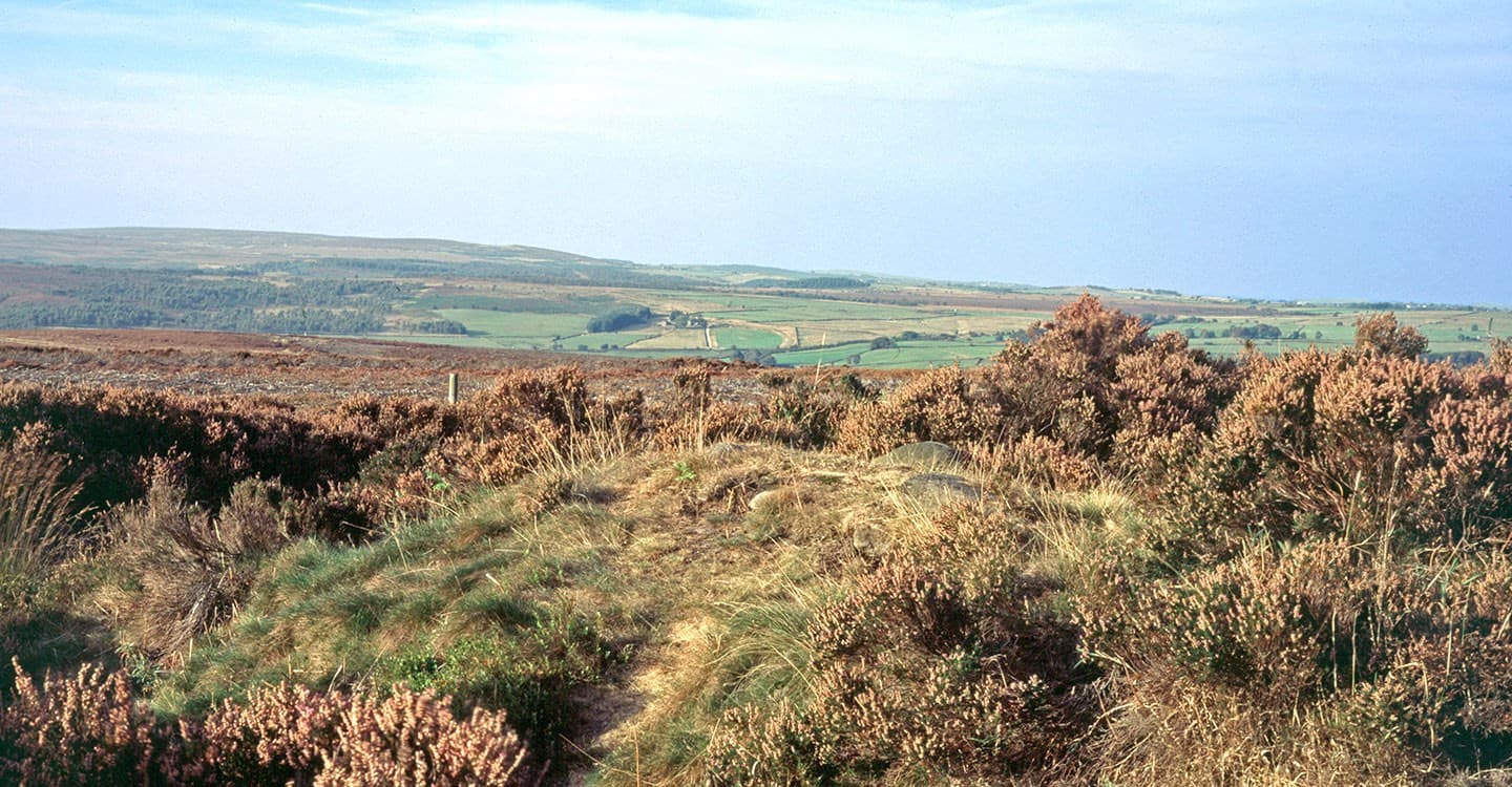 Nine Ladies Stone Circle - Image 3