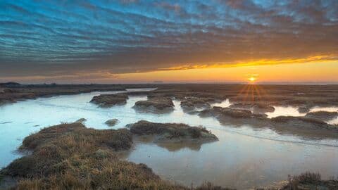 Tollesbury Wick - Main view