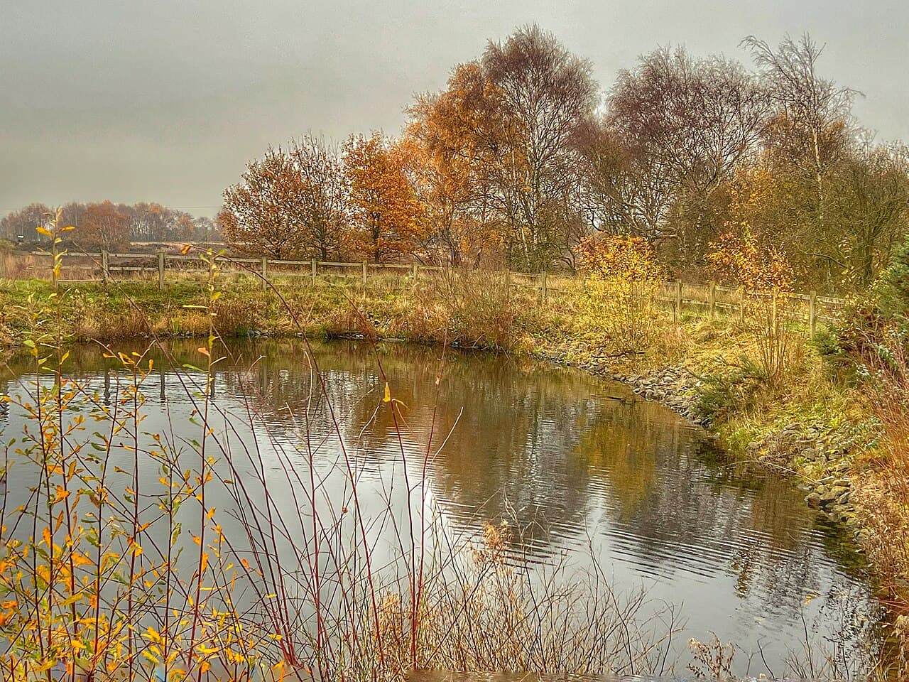 Chasewater Country Park - Main view