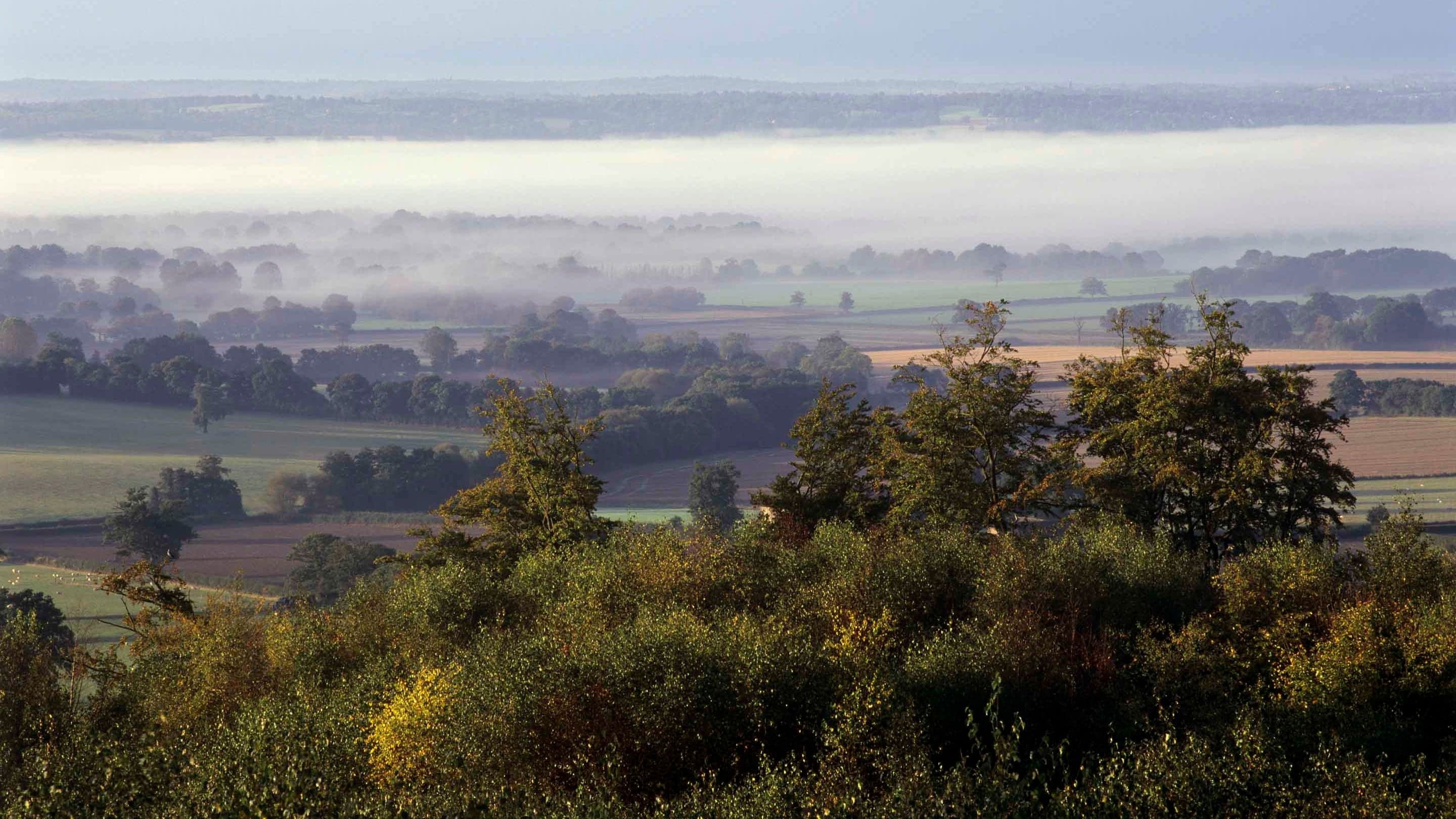 National Trust - Limpsfield Common - Image 3