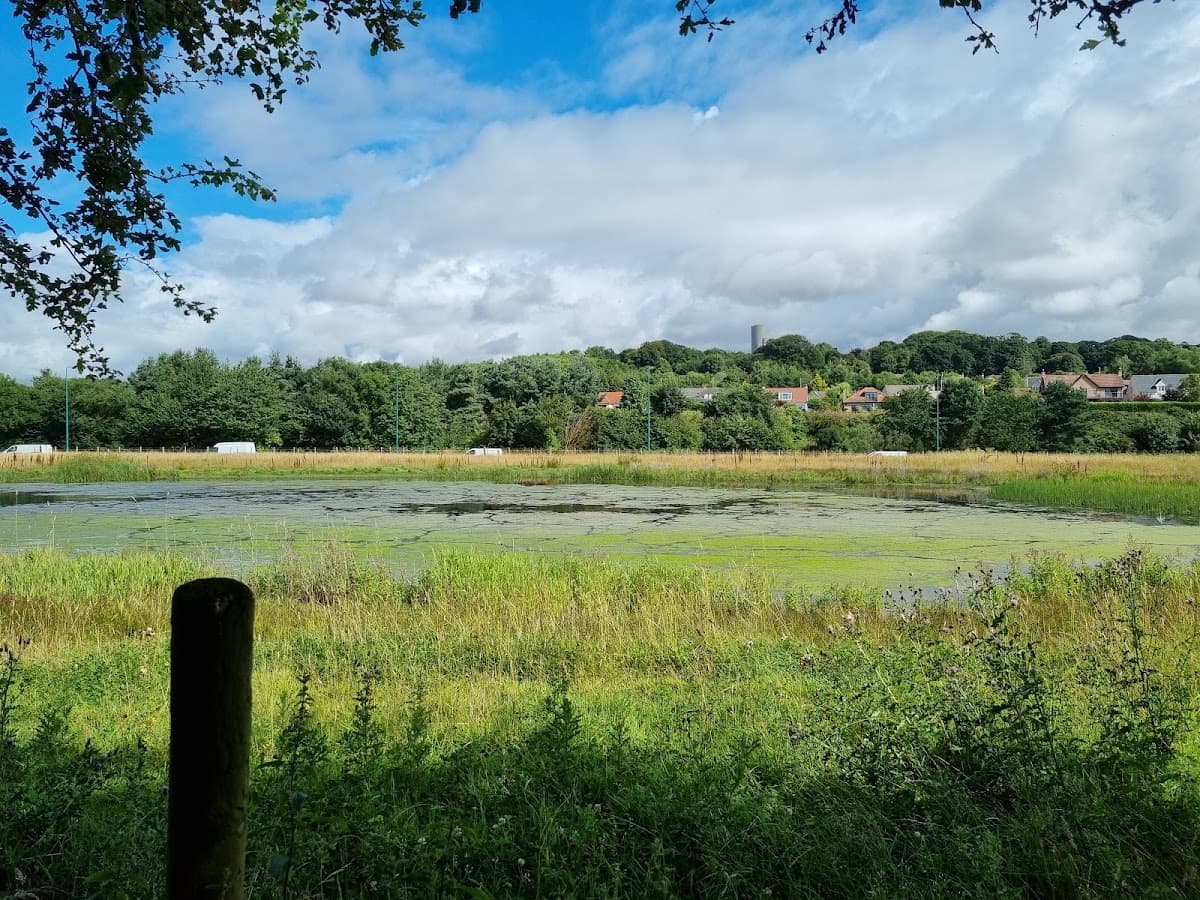 Riverside Nature Park - Image 3