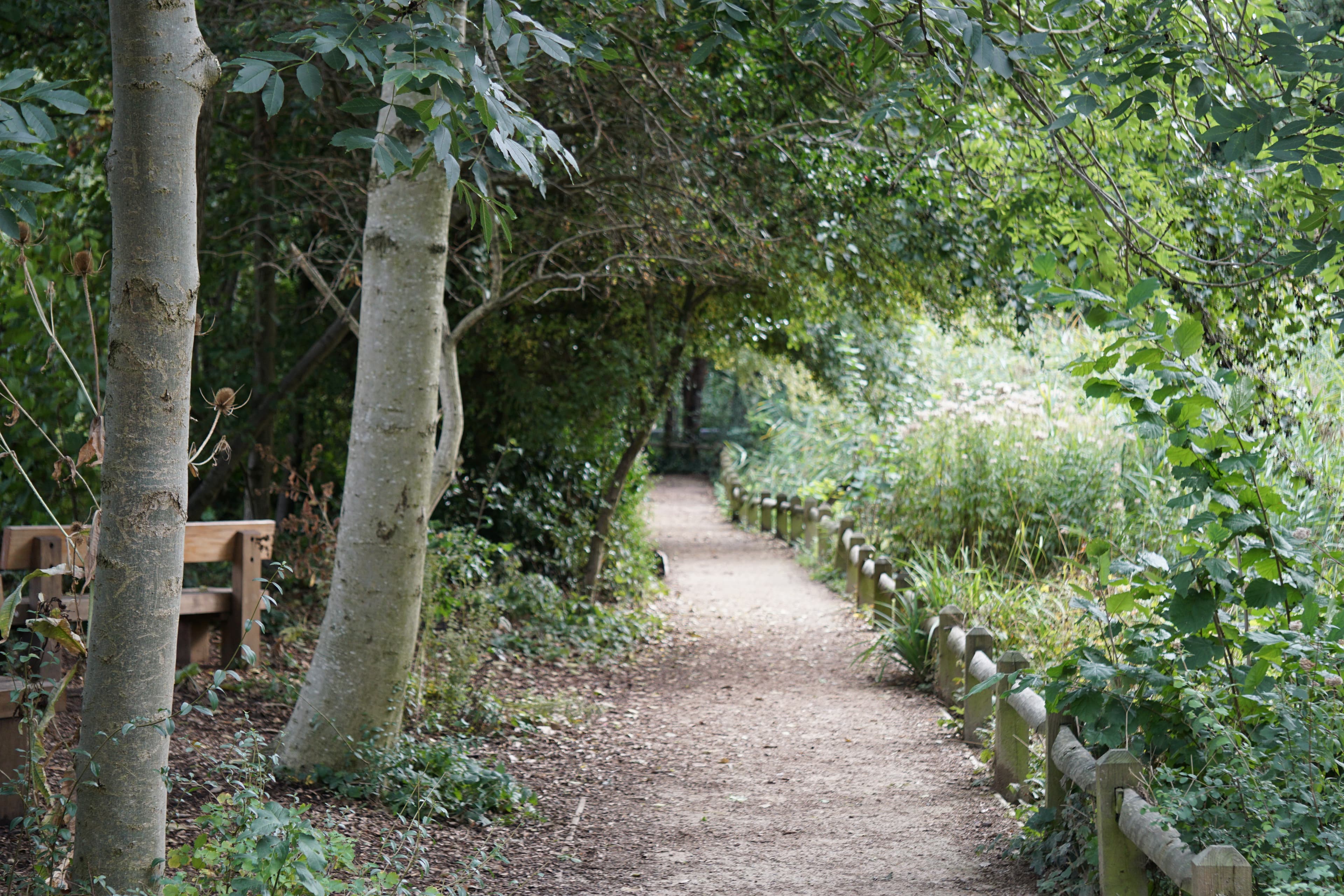 Camley Street Natural Park, London Wildlife Trust - Main view