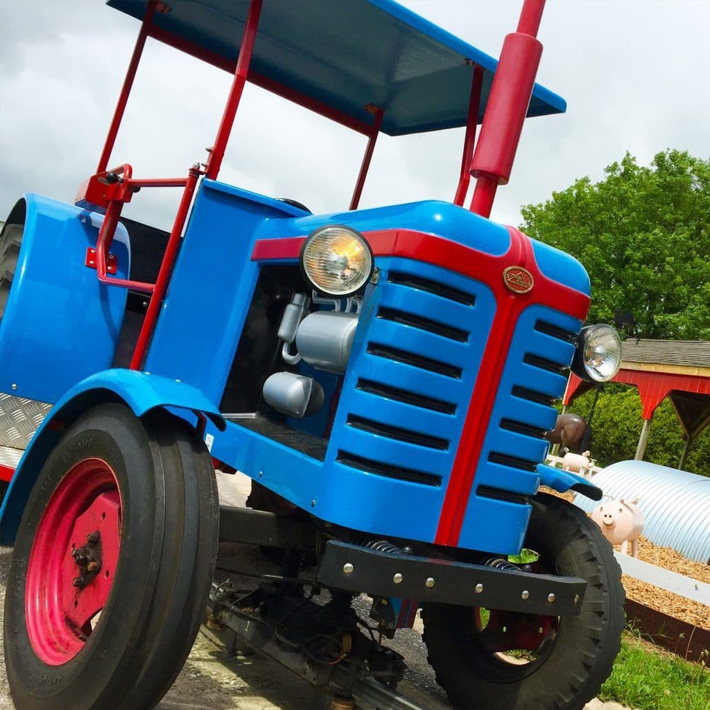 Woodlands Family Theme Park - Image 2