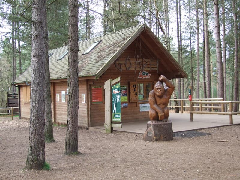 Moors Valley Country Park & Forest - Image 2