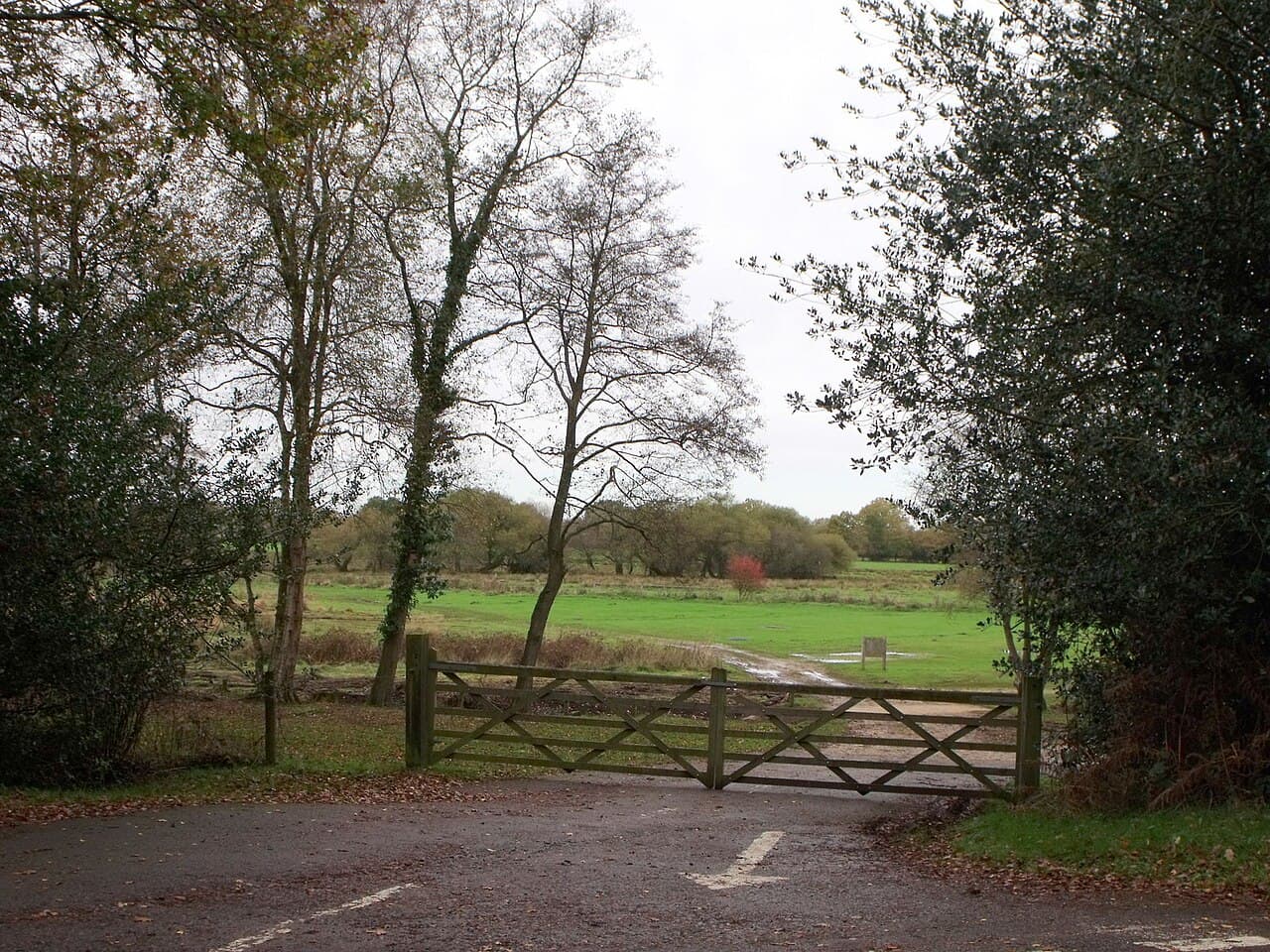 Moors Valley Country Park & Forest - Image 3