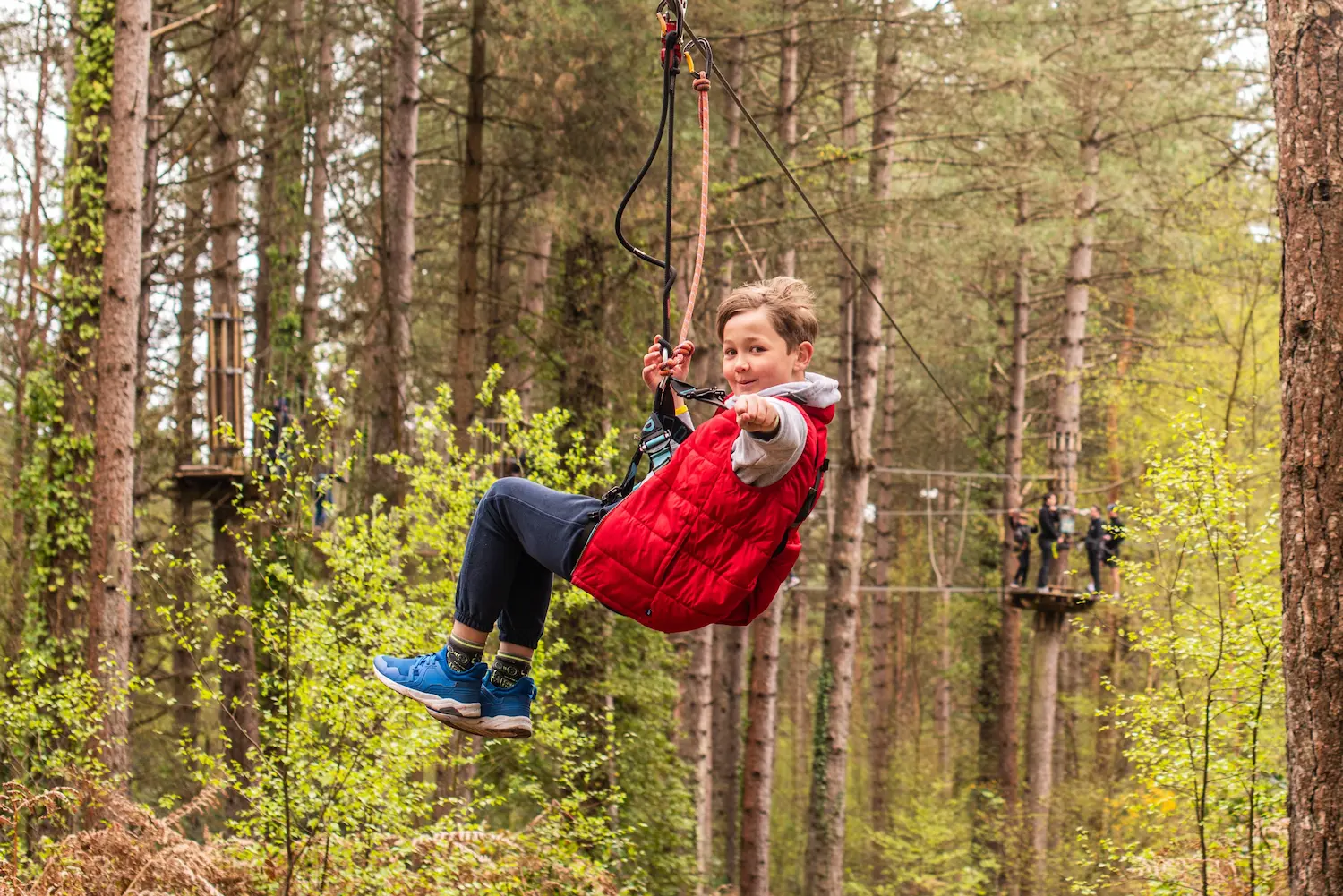 Moors Valley Country Park & Forest - Image 5