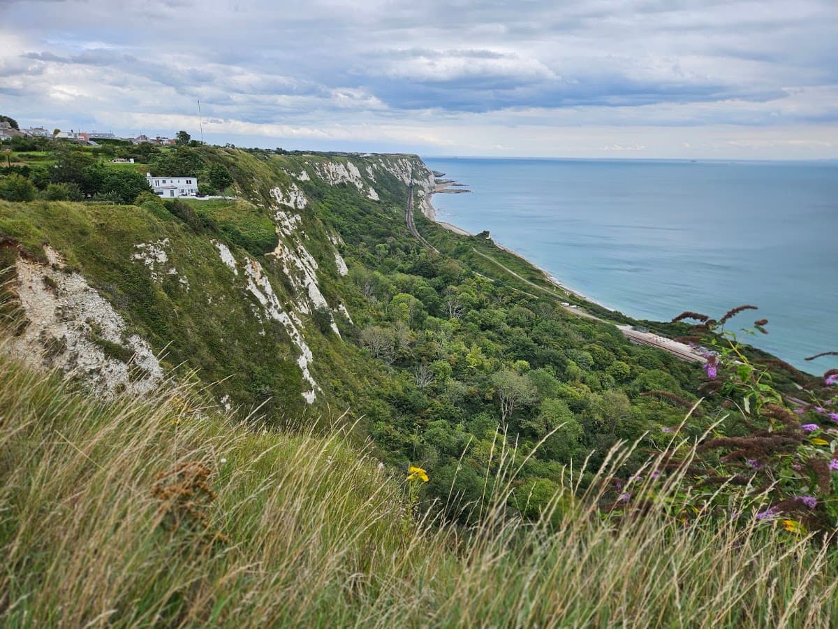 East Cliff and Warren Nature Reserve - Image 2