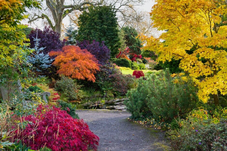 RHS Garden Harlow Carr - Image 3