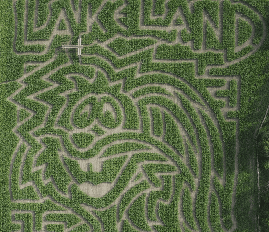 Lakeland Maze Farm Park - Image 4