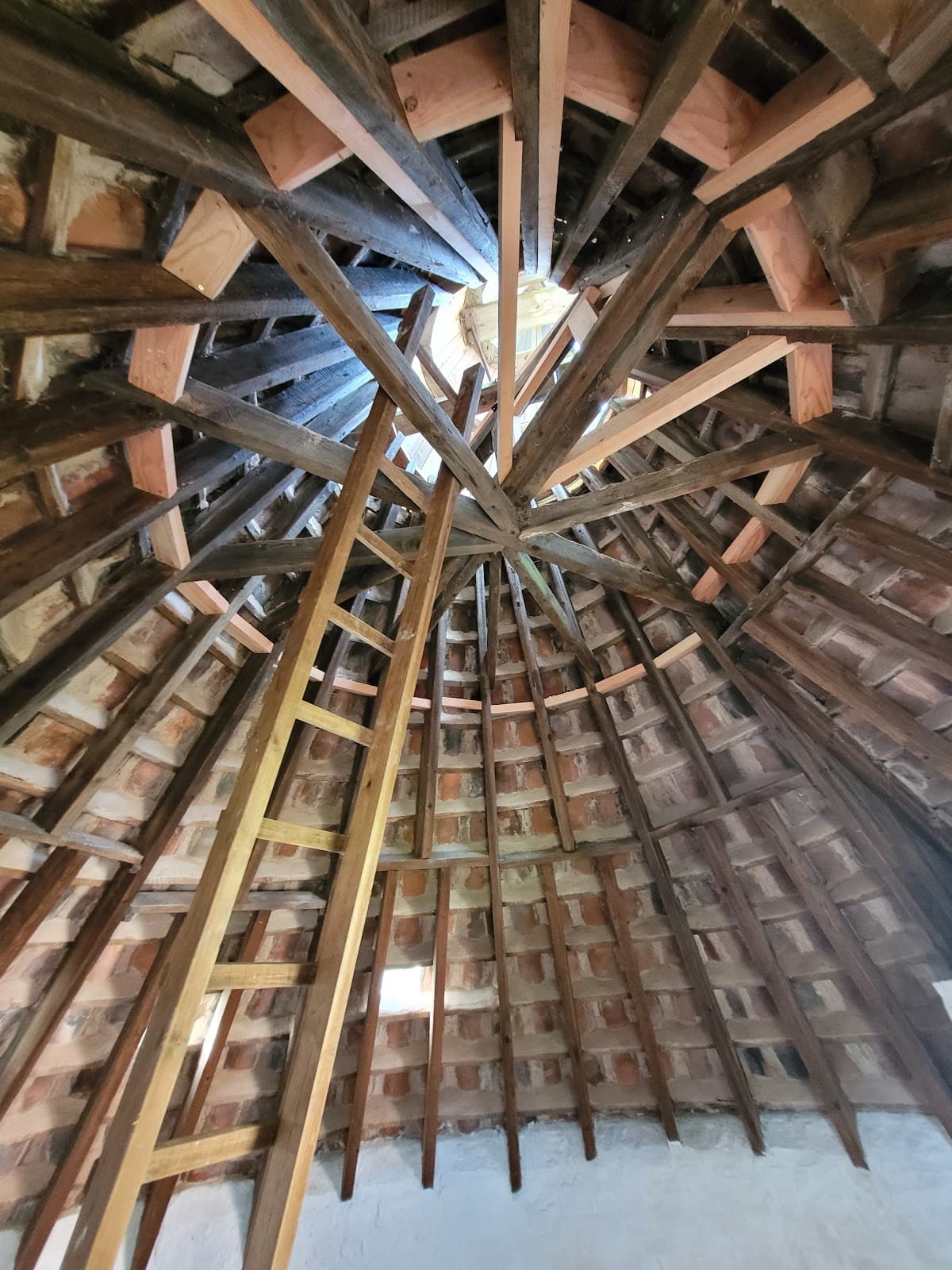 Preston Mill & Phantassie Doocot (National Trust for Scotland) - Image 4