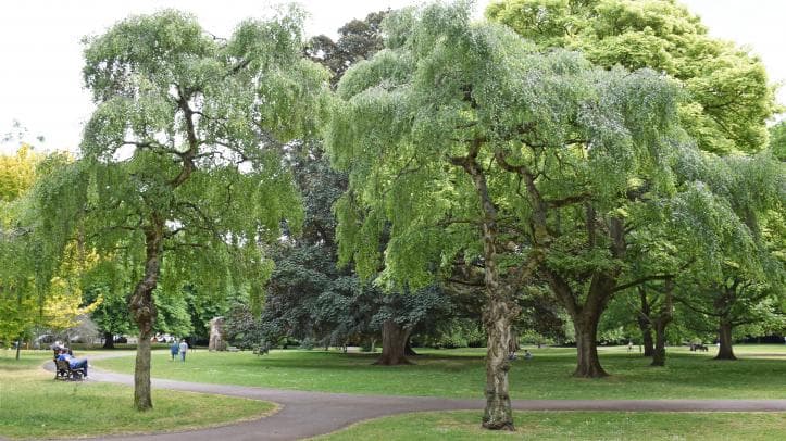 Henrietta Park - Image 2