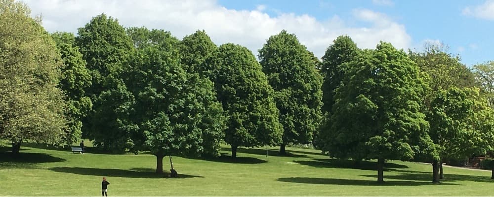 Monkton Park - Image 2