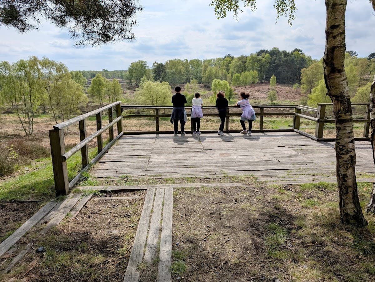 Cannock Chase Visitor Centre - Image 1