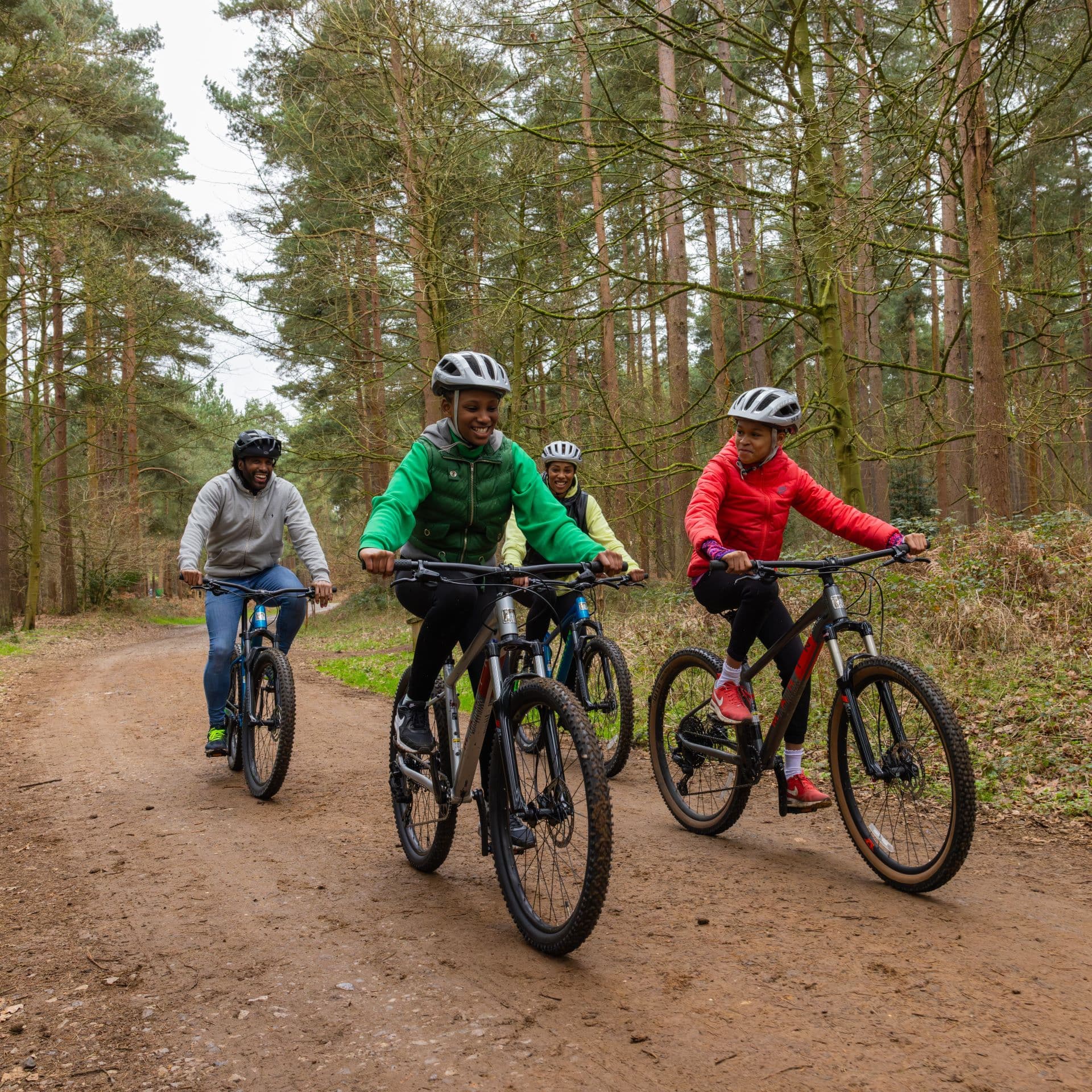 Go Ape Thetford - Image 2