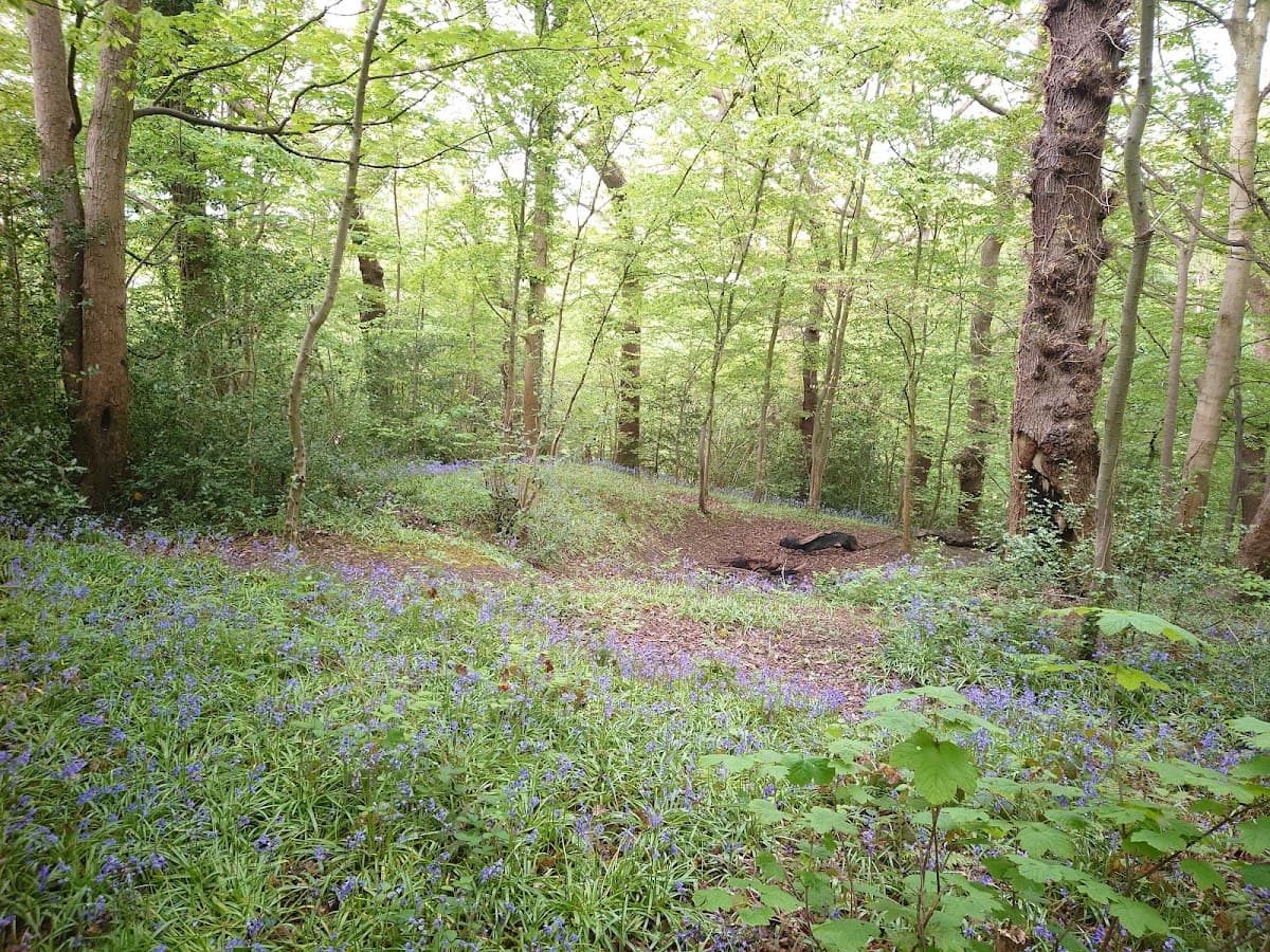 Brotherton Park and Dibbinsdale Local Nature Reserve - Image 1