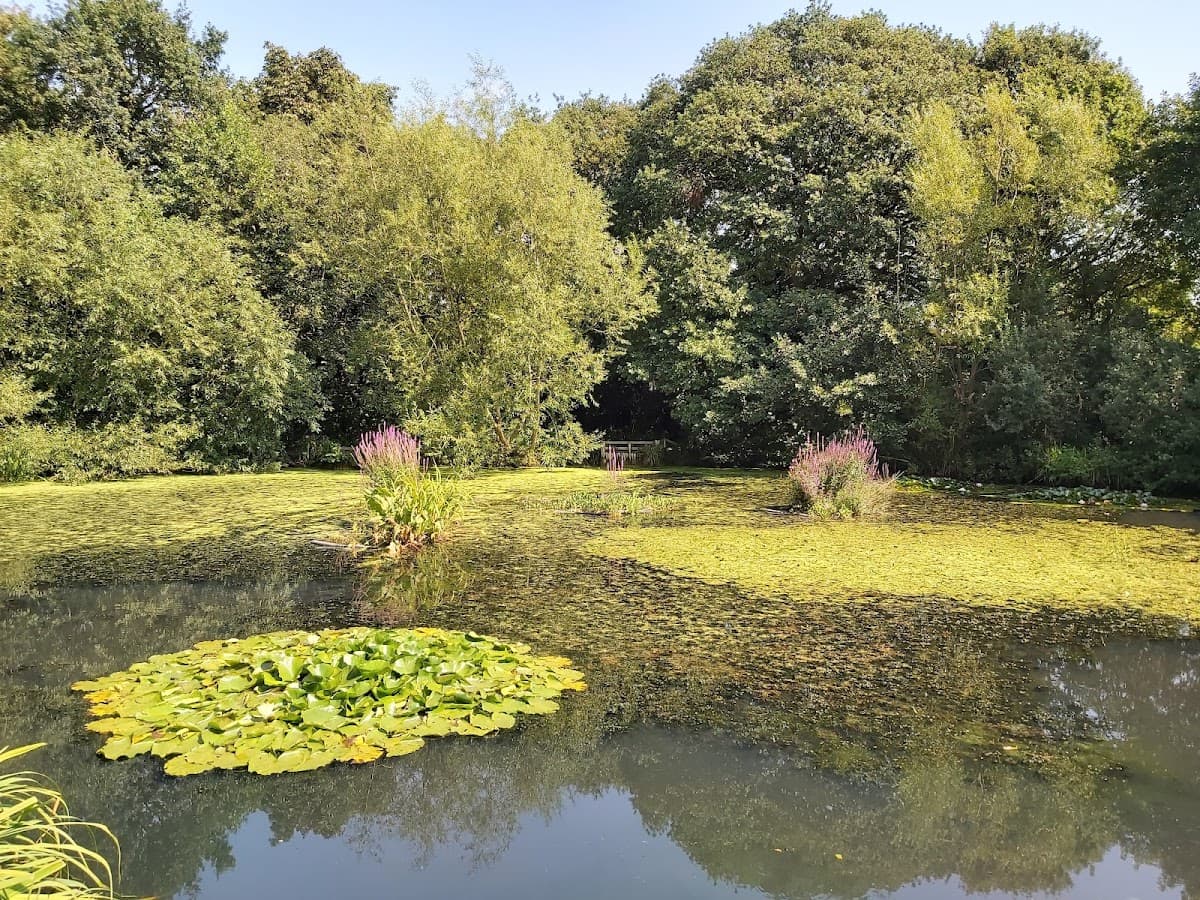 Brotherton Park and Dibbinsdale Local Nature Reserve - Image 2