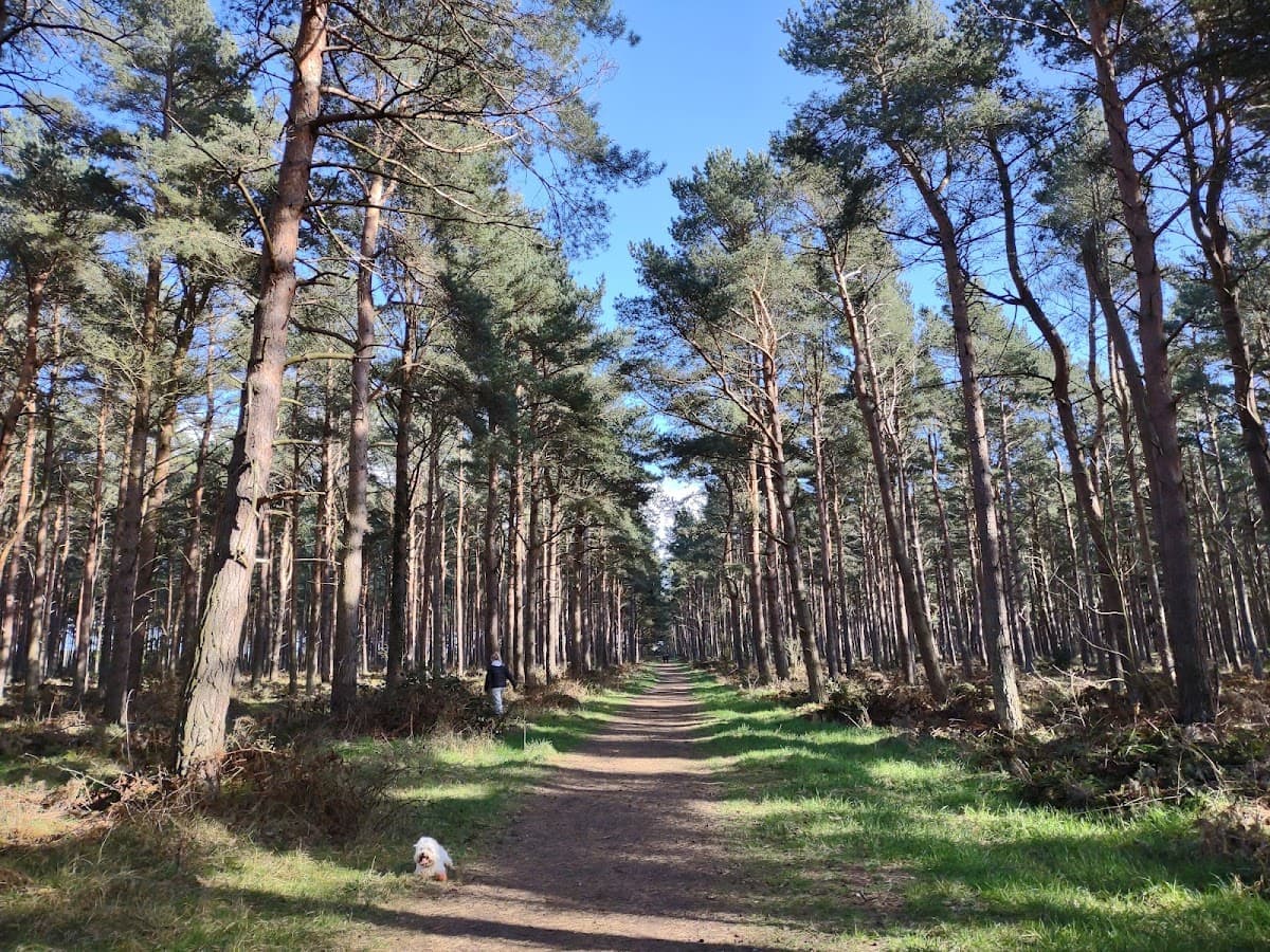 John Muir Country Park - Image 2