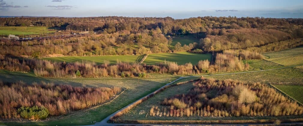 Jeskyns Community Woodland - Main view