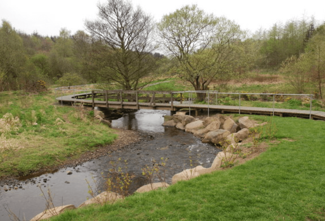 Bellsquarry Wood - Image 2