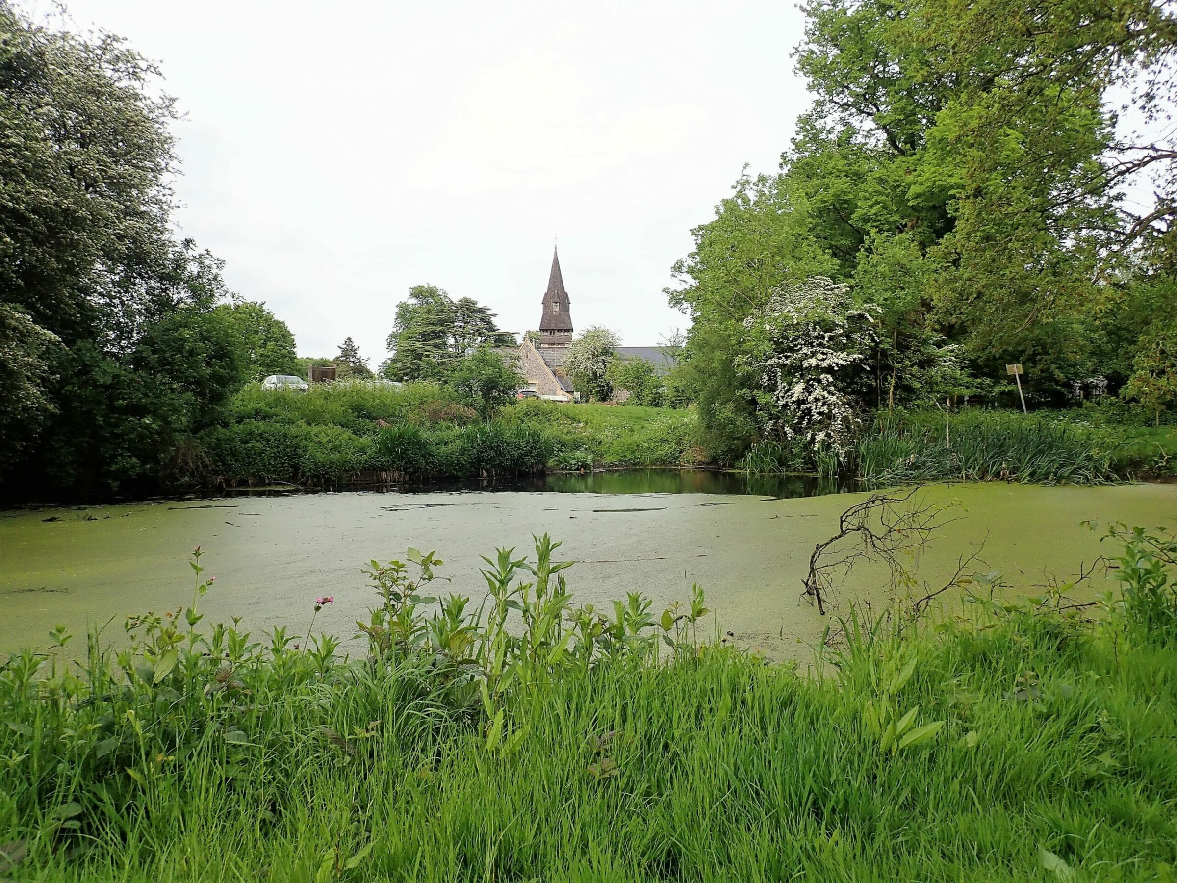 Chorleywood Common - Main view