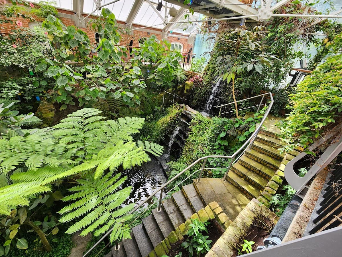 Botanic Gardens - Image 4