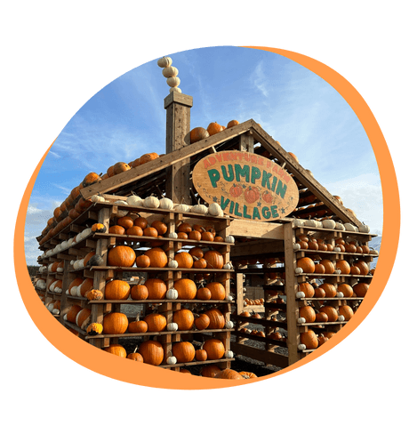 National Forest Adventure Farm - Image 2