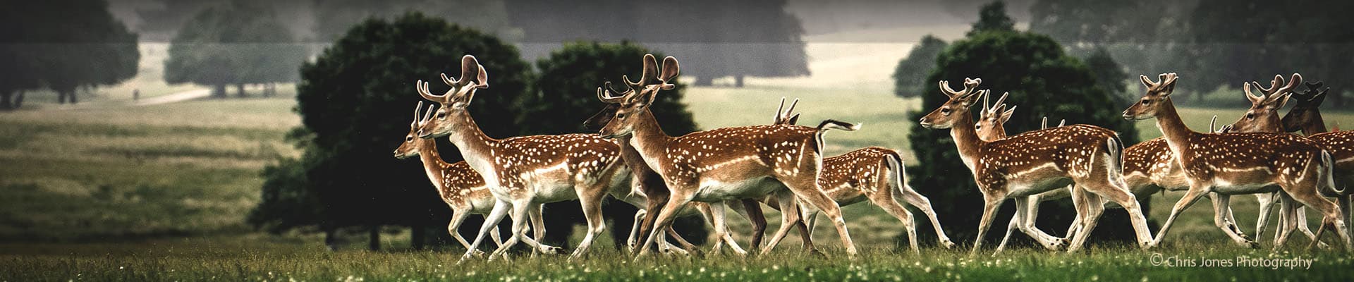 Tatton Park - Main view