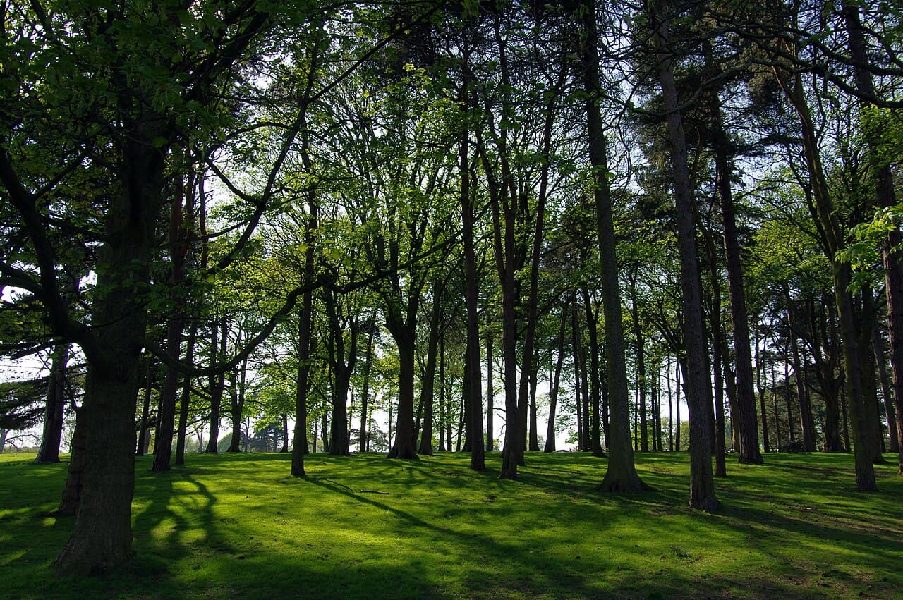 Tatton Park - Image 2