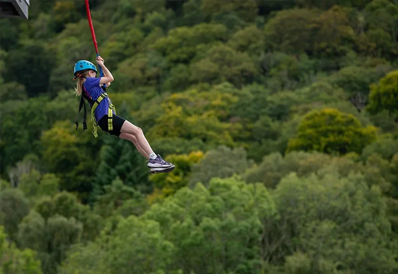Adventure Parc - Image 3