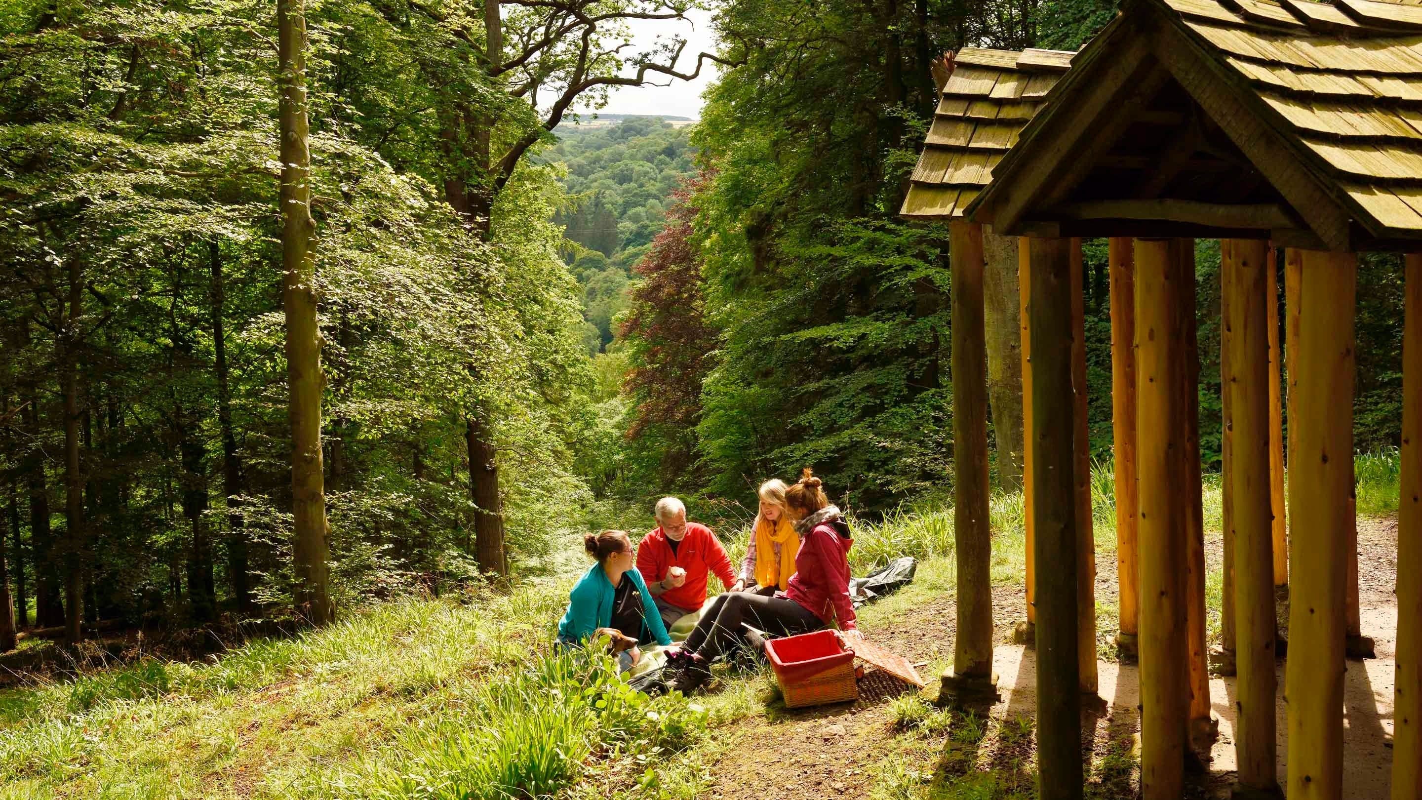 National Trust - Allen Banks and Staward Gorge - Image 2
