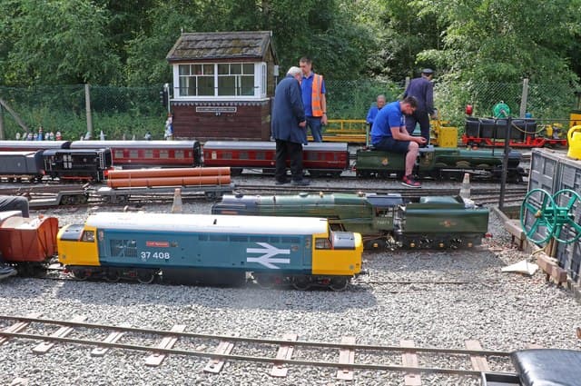Echills Wood Railway - Main view