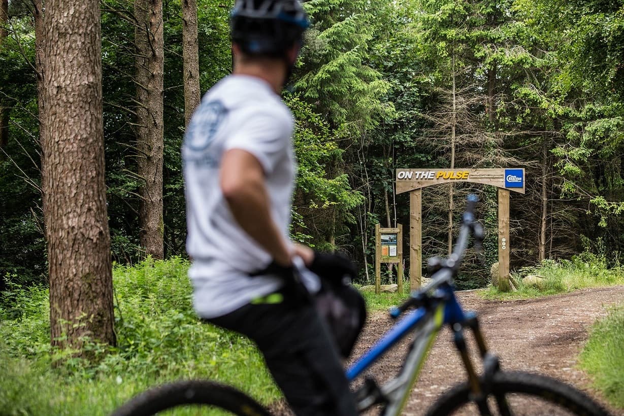 Davagh Forest Trails - MTB Trailhead - Image 3