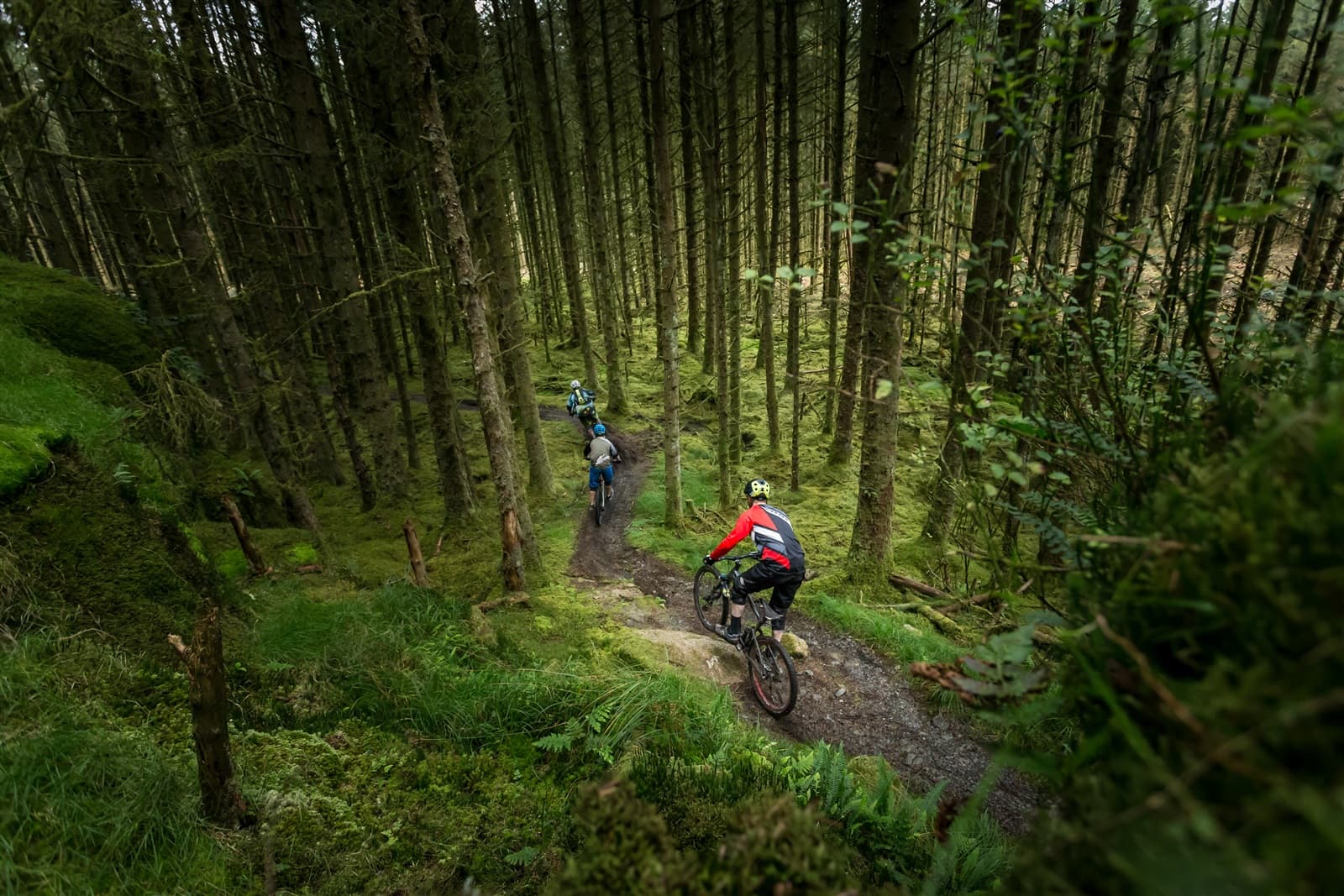 Davagh Forest Trails - MTB Trailhead - Image 4